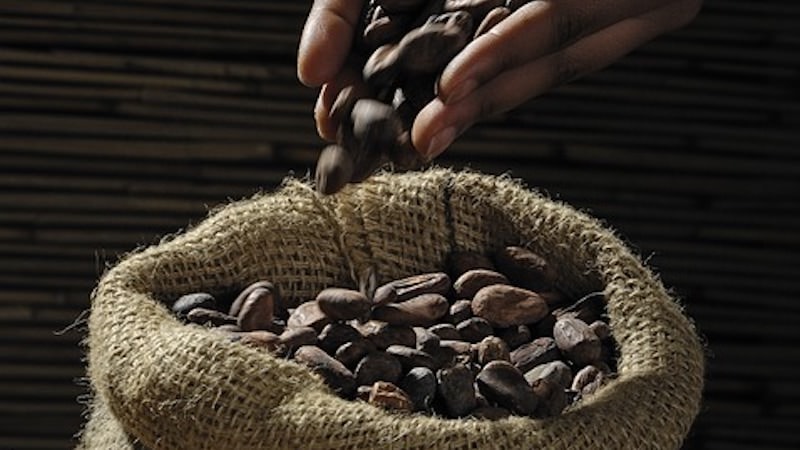 Kakao Bohnen Superfood